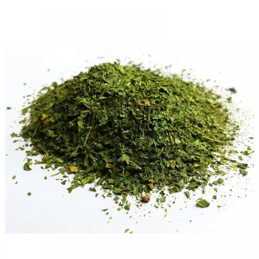SALSA 10G (SACHÊ)